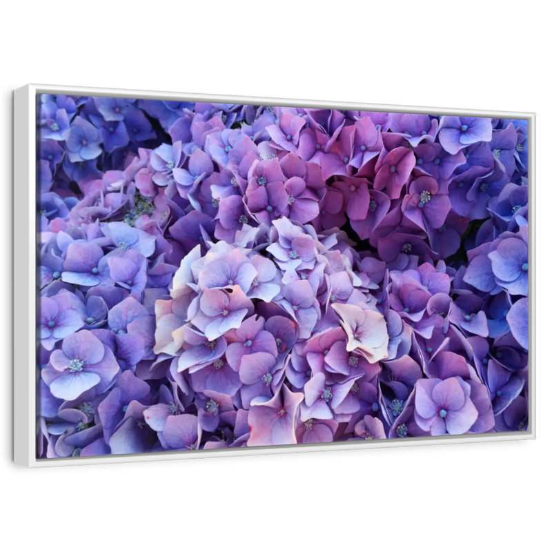 Grappes d'hortensias mauves, Cadre flottant blanc, 40 po x 27 po