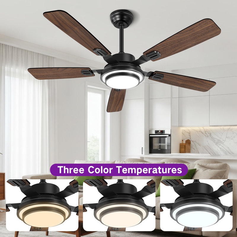 52" RGB Ceiling Fan With Led Light and Remote/APP Control, Black