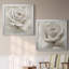 «Dreamy I», ensemble de 2 reproductions d'art encadrées-1237090241-1304603373-1237090239