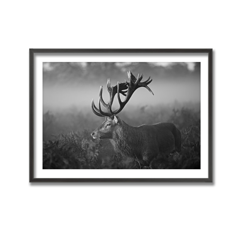 «Sunny Morning» par Robert Fabrowski - reproduction de cadre photo sur bois, L 48 po x H 32 po