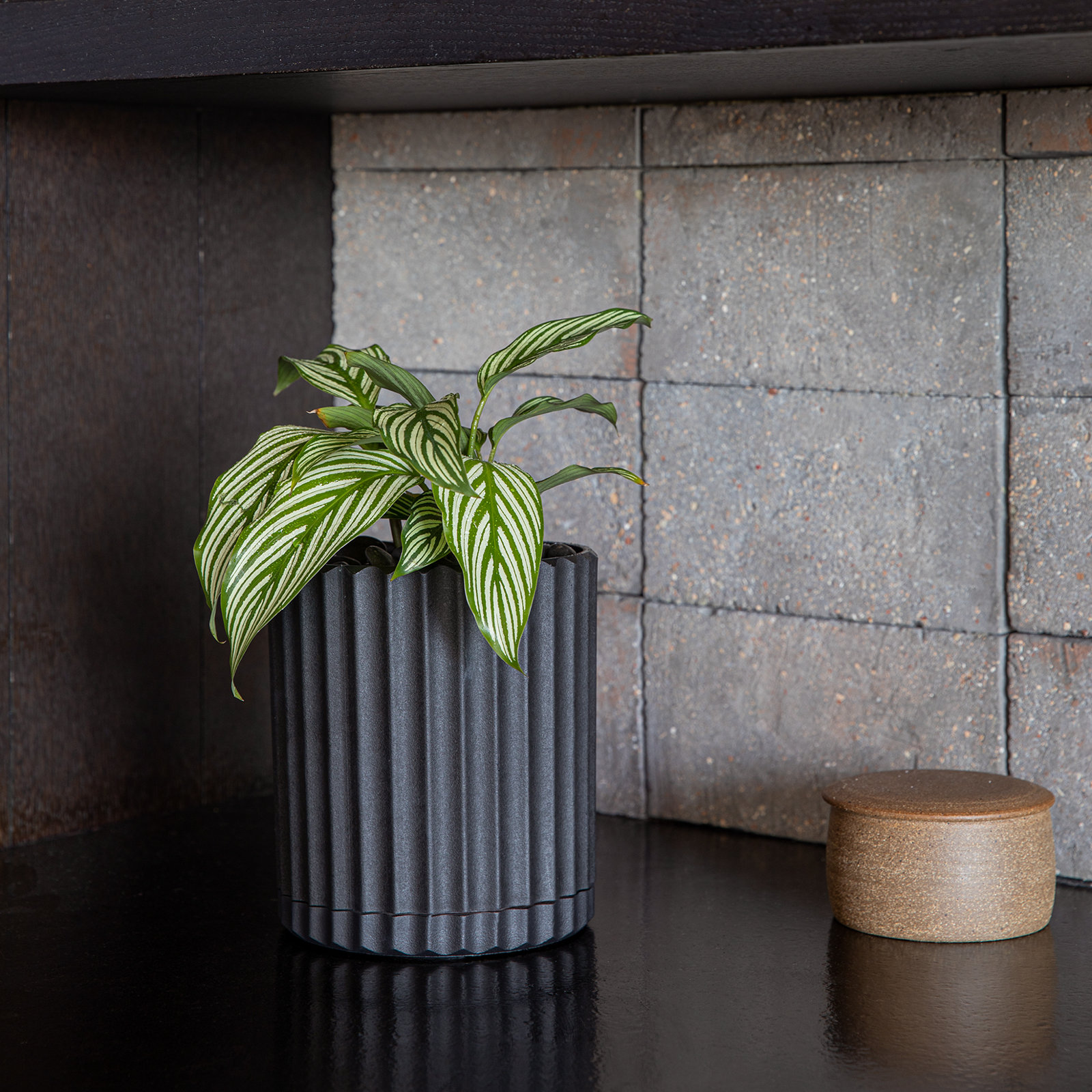 Demi Series 6" Pot Planter, Black, 1