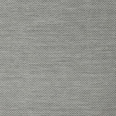 Indoor Rug