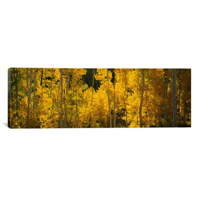 Panoramic Photograph on Canvas