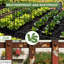 Fence Panels Fencing-132212721-132212720