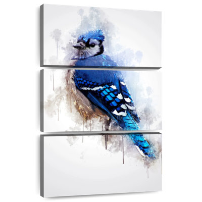 Brampt Blue Jay Bird