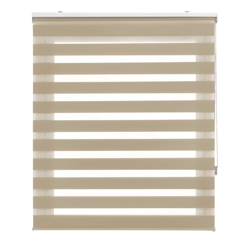 Semi Sheer Zebra Shades, 160x250, beige