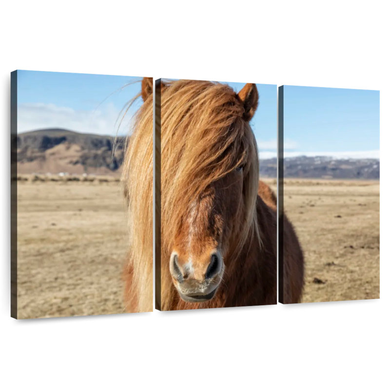 Brampt, chevaux islandais dans la campagne VII, H 20 po x l 33 po