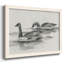 Geese Study II - Impression sur toile tendue-96283869-96283872