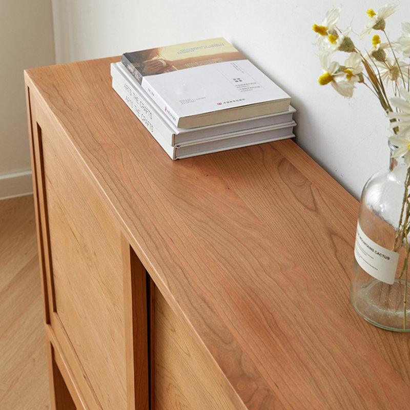 Minimalist Console Cabinet
