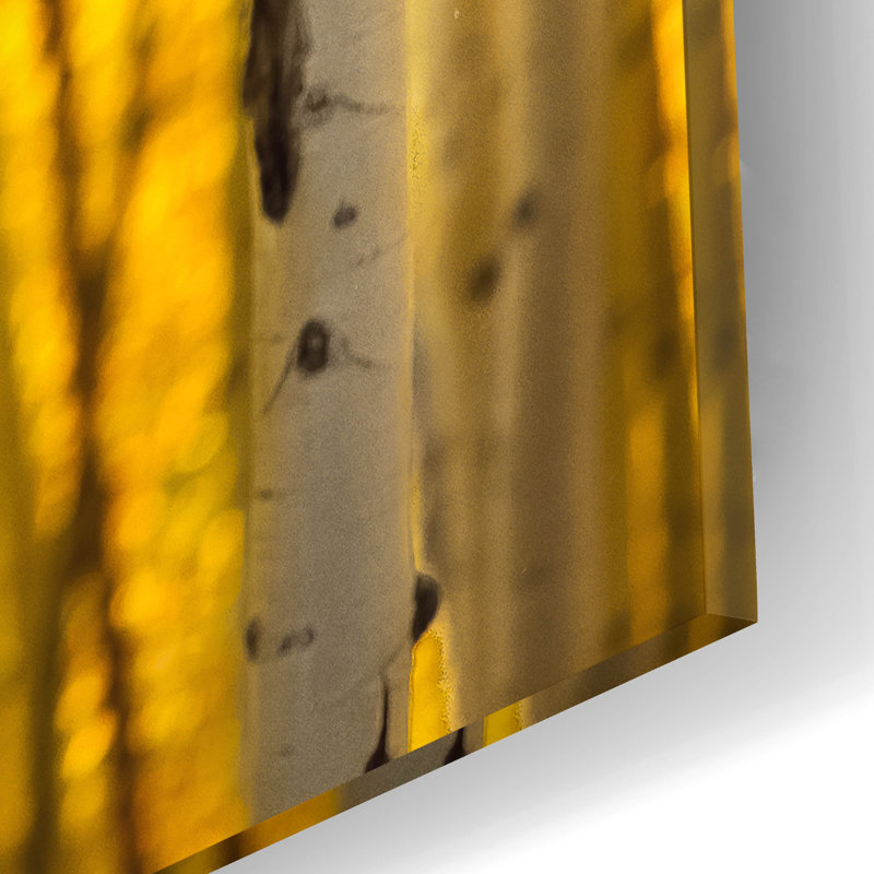 "Aspen Trees" par Jonathan Ross, H 16 po x l 12 po x P 0,13 po
