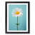 Black Framed selected