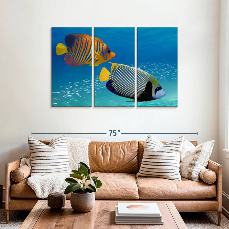 Poisson-ange exotique empereur, H 36 po x l 57 po