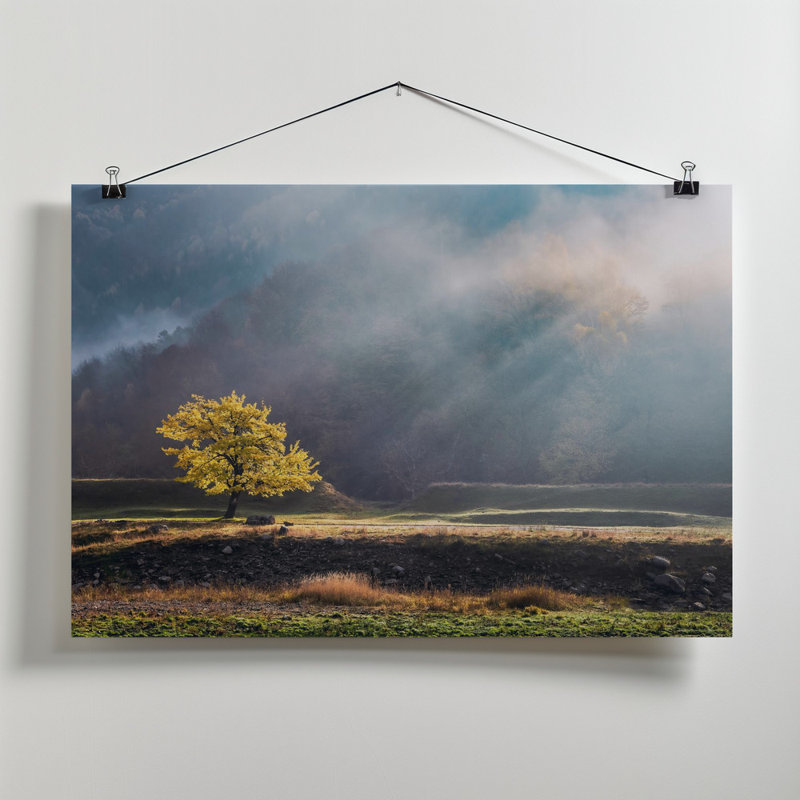 Wrapped Canvas Print, 50.8 cm H x 76.2 cm W