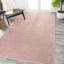 Tapis rose Auldridge-1572160679