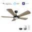 Ventilateur de plafond intelligent Winston avec télécommande, ensemble d'éclairage inclus, fonctionne avec l'assistant Google, Amazon Alexa et les raccourcis Siri.-253267815-253267834-253267838