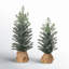 Stanford Faux Pine Tree in Wicker/Rattan Pot