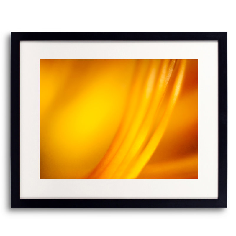 Filament Print by Scott Norris, 16" H x 20" W