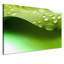 Print on Canvas-25528644