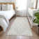 Malek Indoor/Outdoor Area Rug with Non-Slip Backing
