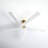 Adalai 70" 5 - Blade Standard Ceiling Fan with Remote Control-1752489206-1860779321