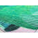 Maisie Modern Pink Palm Area Rug