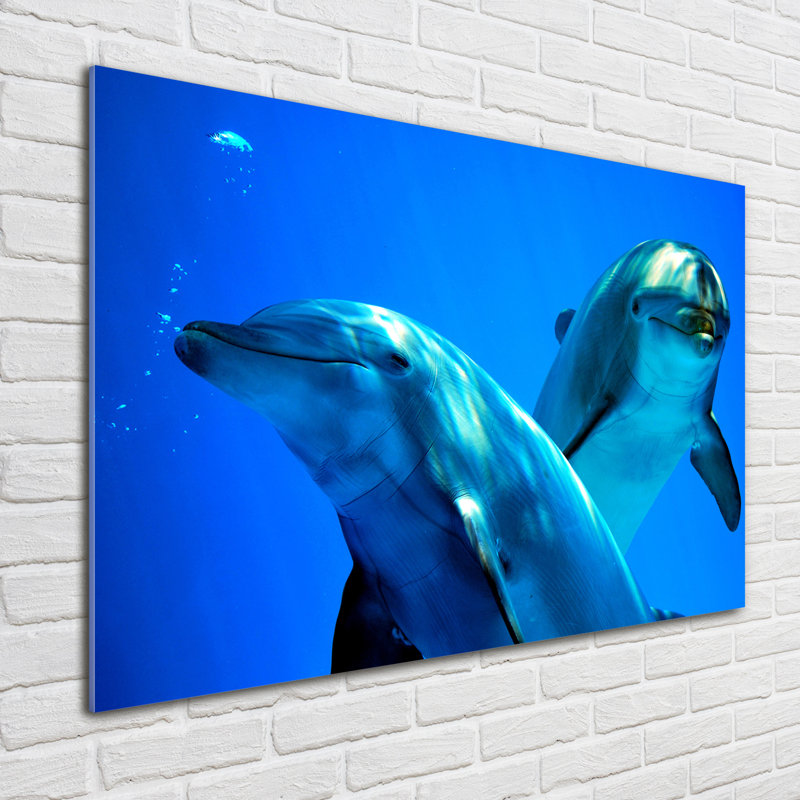 Two Dolphins - No Frame Print on Glass, Glass, 70cm H x 100cm W
