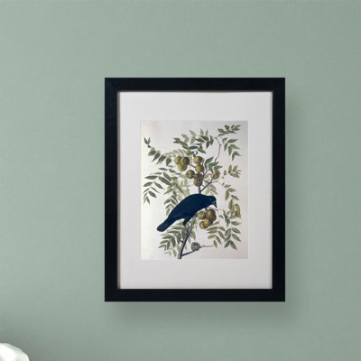 « american crow », reproduction d’art sur toile encadrée