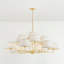 Durland Chandelier in Aged Brass-824835022-824835011