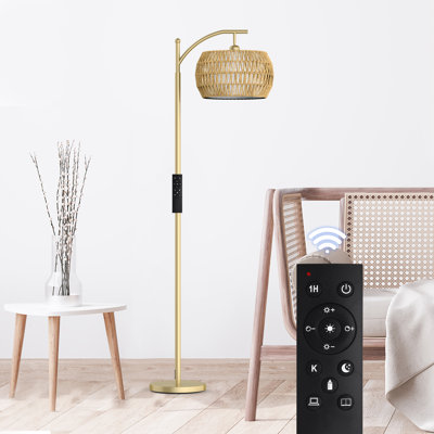 Lampe sur pied mate 62,5 po Kenerie