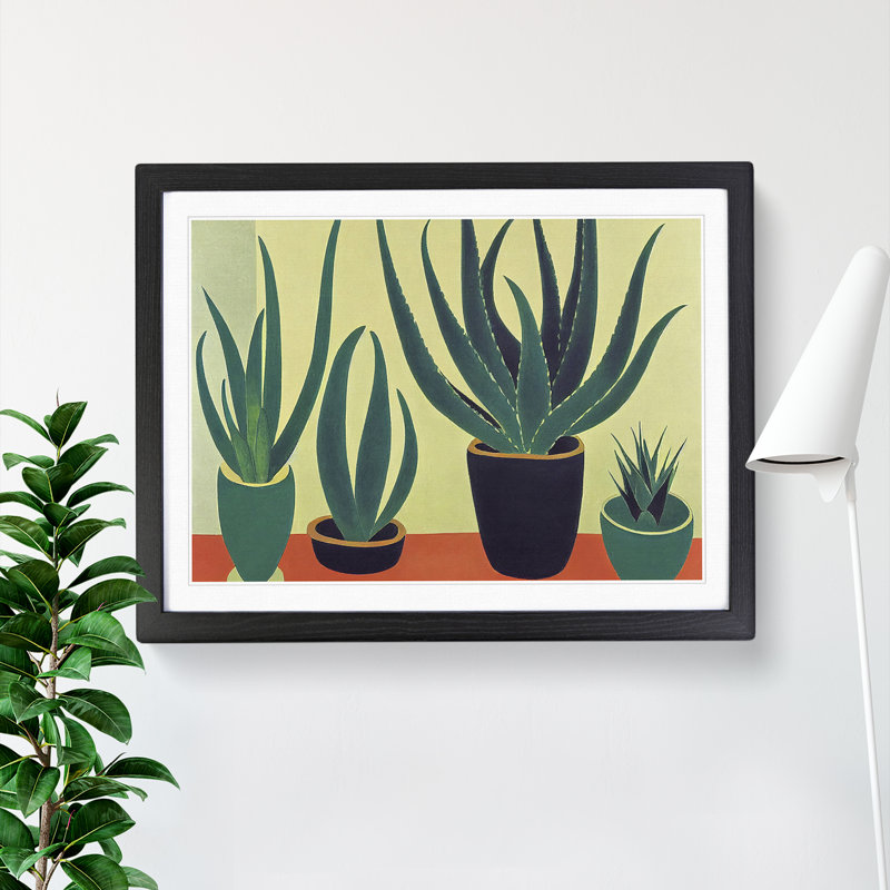 Aloe Vera Plants - Single Picture Frame Print, Black, 46cm H x 64cm W x 2cm D