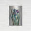 "Iris Inlay" par Louise Montillio-1831521779