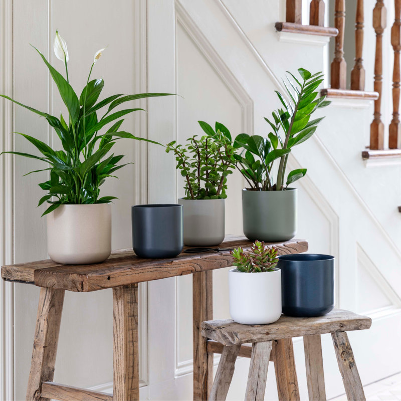 Lisbon Indoor Ceramic Planter, Sage