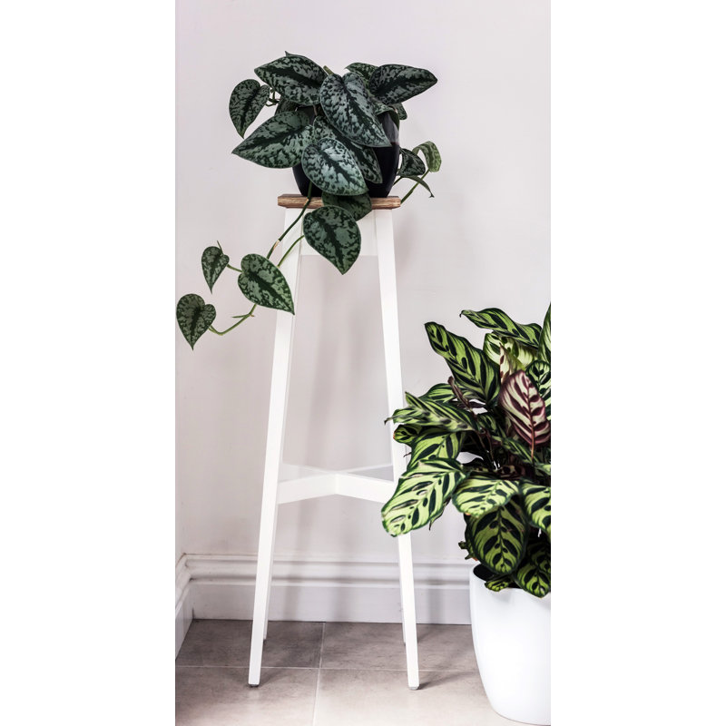 Decatur Plant Stand, White, H80 x L28 x D28cm