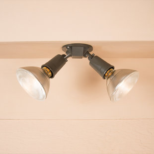 Flood Light