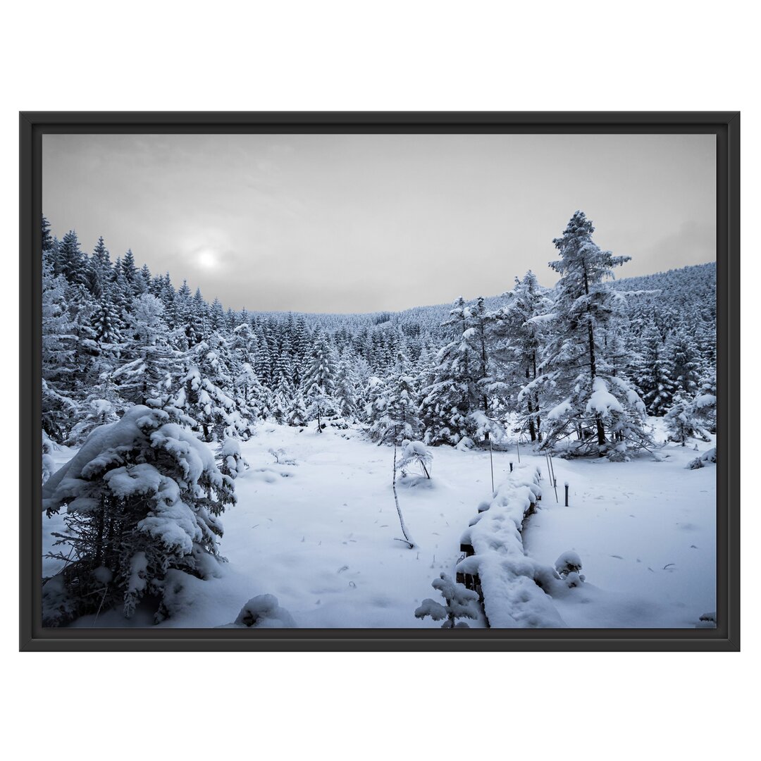 Gerahmtes Wandbild Waldverschneiten Winter