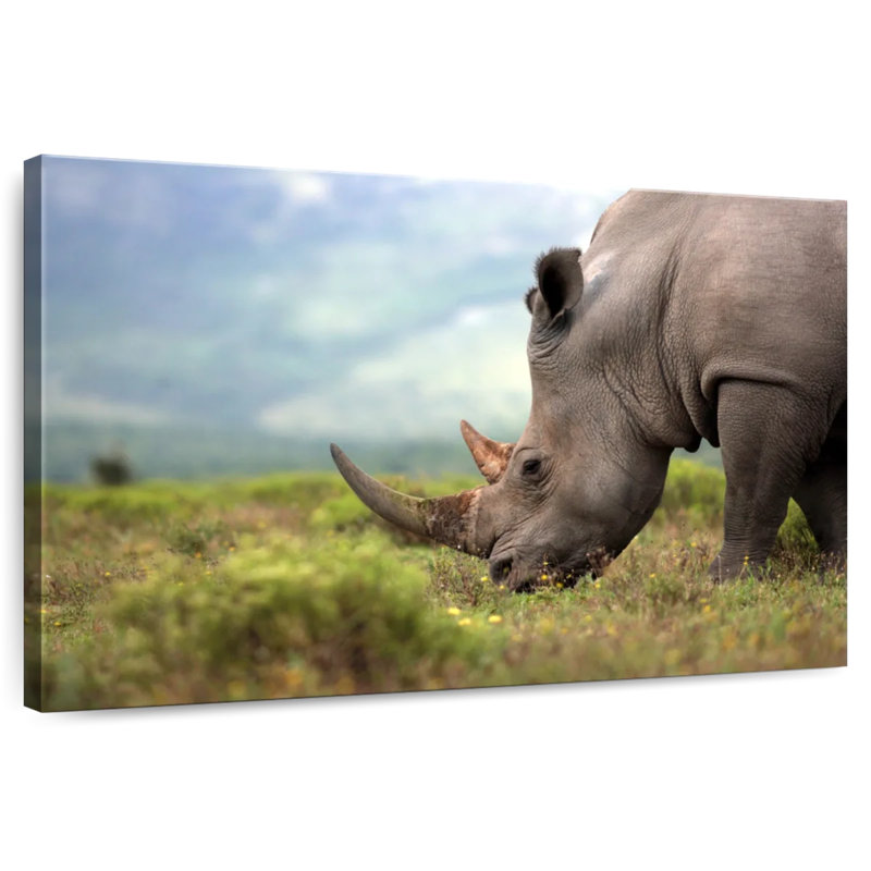 Rhinocéros en voie de disparition Brampt, H 32 po x l 48 po