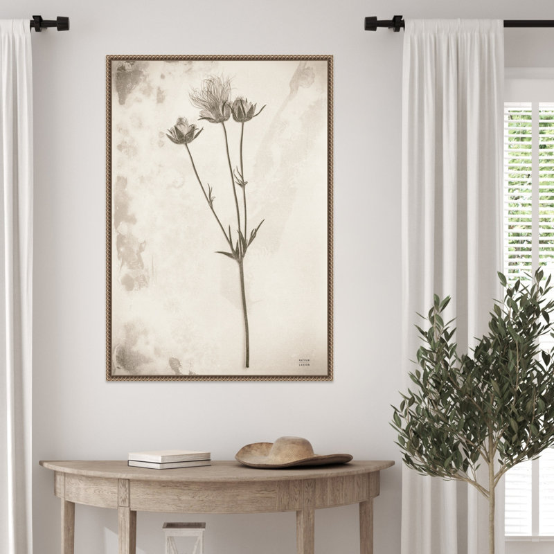 «Wildflower Journal Vintage No. 8» par Nathan Larson, reproduction d'art sur toile encadrée, 23 x 33