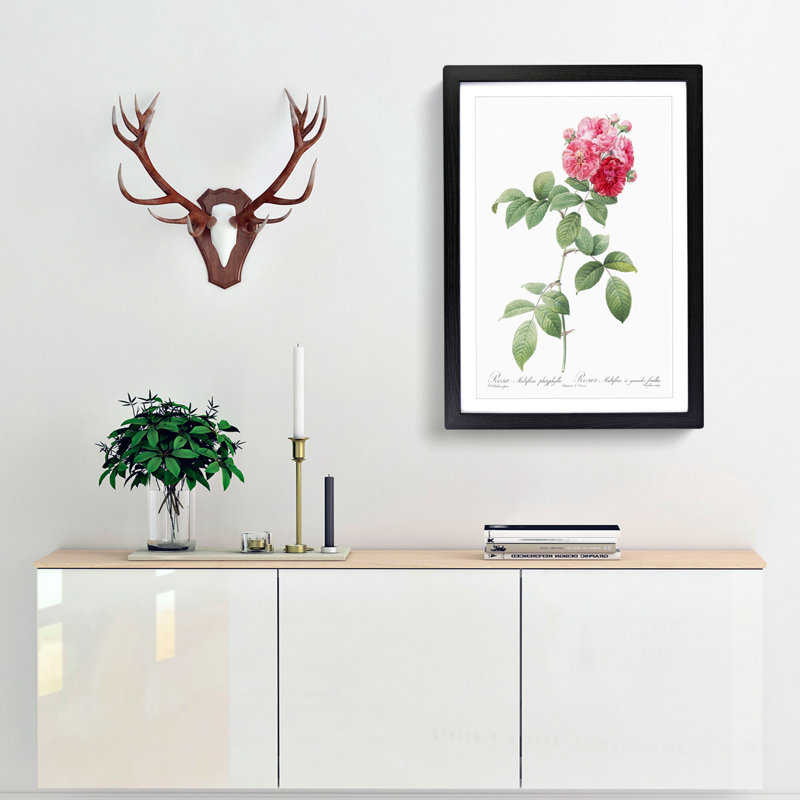 Seven Sisters Roses in Pink by Pierre-Joseph Redoute - Picture Frame Painting Print, 48cm H x 36cm W x 2cm D, Black Framed