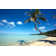 Coconut Palm Tree In White Sand Beach by Ekash - No Frame Art Prints on Canvas