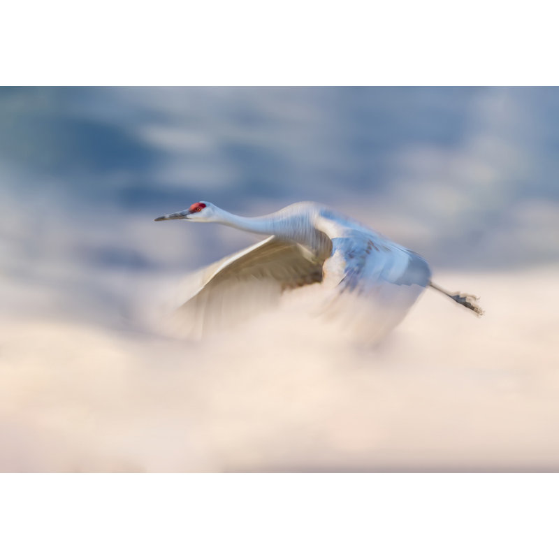 Wrapped Canvas Print, 50.8cm H x 76.2cm W