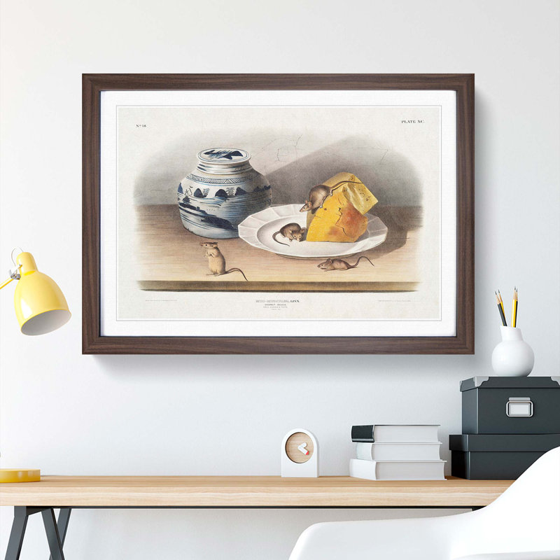 Mice by J.W. Audubon - Framed Print, 36cm H x 48cm W x 2cm D, Walnut Framed