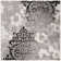 Davonn Performance Floral Rug