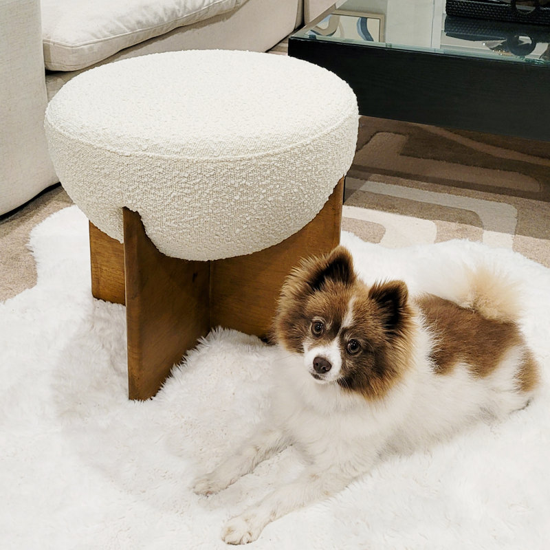 Sharita Upholstered Boucle Cocktail