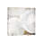 White Shells II-1PC6-97438086