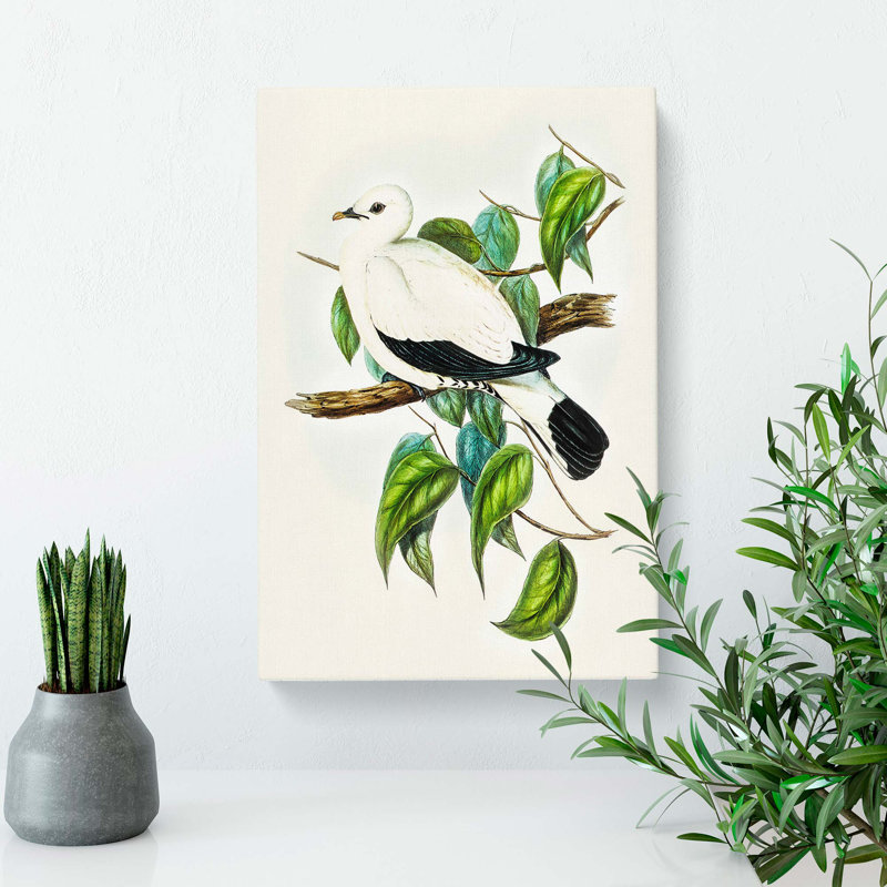 Torres Strait Fruit Pigeon by Elizabeth Gould - Wrapped Canvas Painting, 76cm H x 50cm W x 3cm D