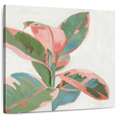 Harnek rose ficus I