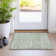 Machine Washable Indoor/Outdoor Xhevrie Aloe Rug
