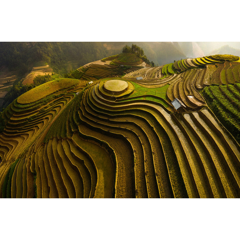 Wrapped Canvas Print, 50.8 cm H x 76.2 cm W