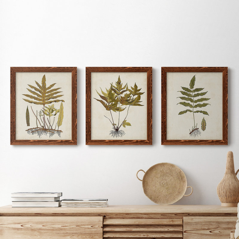 Fern Botanical I - Ensemble de 3 peintures sur toiles encadrées, H 24 po x l 36 po x P 1,5 po, Érable