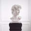 David Bust